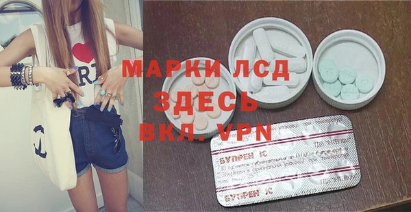 хмурый Сосновый Бор