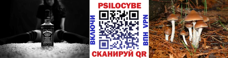 как найти закладки  Верхотурье  Галлюциногенные грибы мицелий 